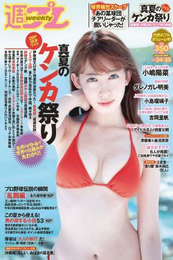 流浪地球2票房